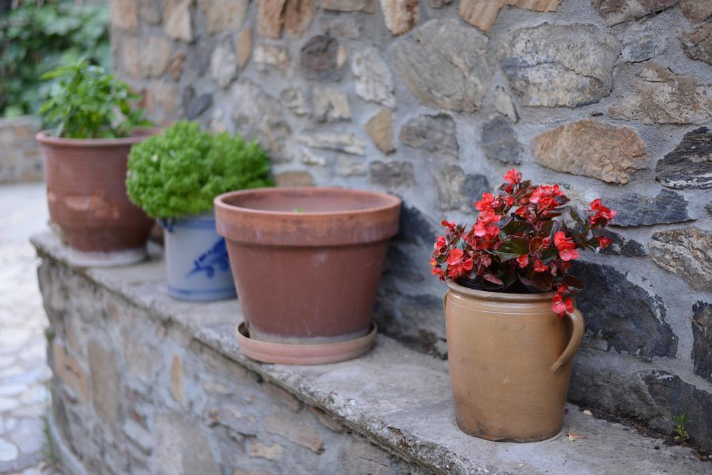 Guesthouse Parthenón エクステリア 写真